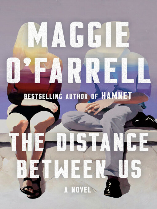 Title details for The Distance Between Us by Maggie O'Farrell - Wait list